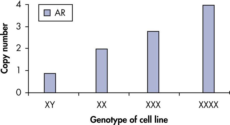 Calculate the difference in Ct (dCt) by subtracting the mitochondrial gene Ct from the nuclear gene Ct. Apply the formula: