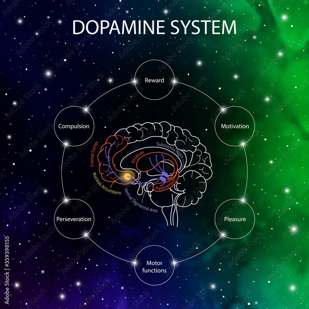 Conclusion: Key Takeaways for Dopamine Tattoo Correction