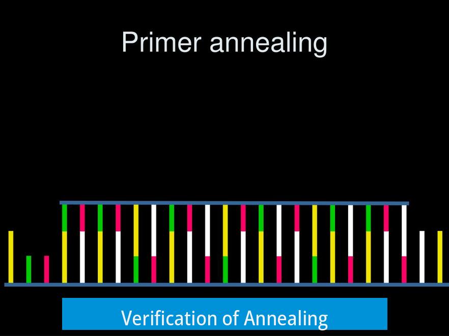 Verification of Annealing