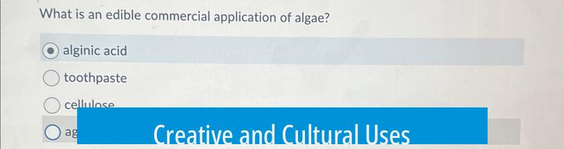 Creative and Cultural Uses