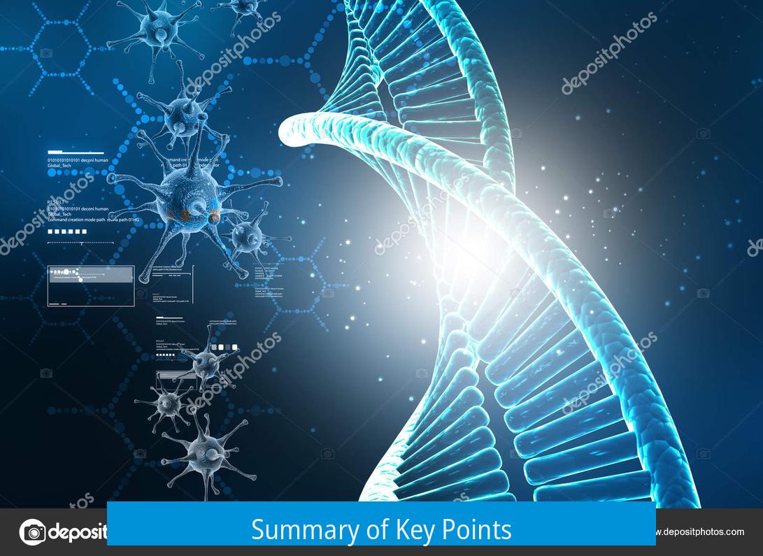 Summary of Key Points