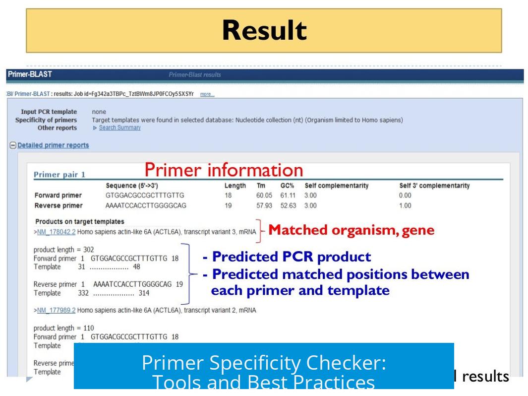 Primer Specificity Checker: Tools and Best Practices
