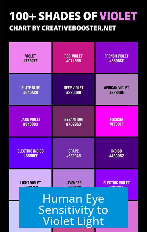 Human Eye Sensitivity to Violet Light