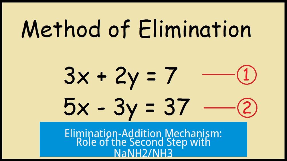 Elimination-Addition Mechanism: Role of the Second Step with NaNH2/NH3