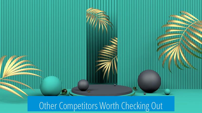 Other Competitors Worth Checking Out