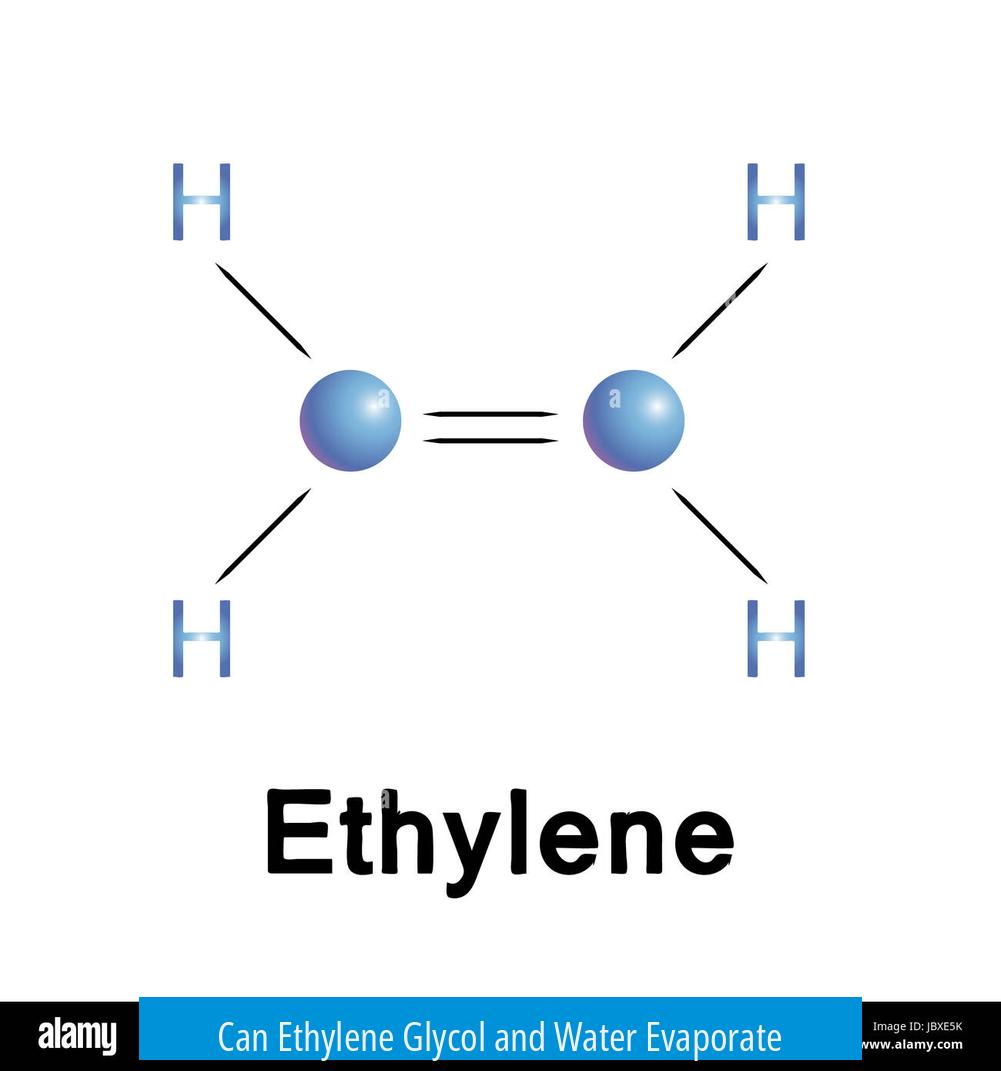 Can Ethylene Glycol and Water Evaporate?