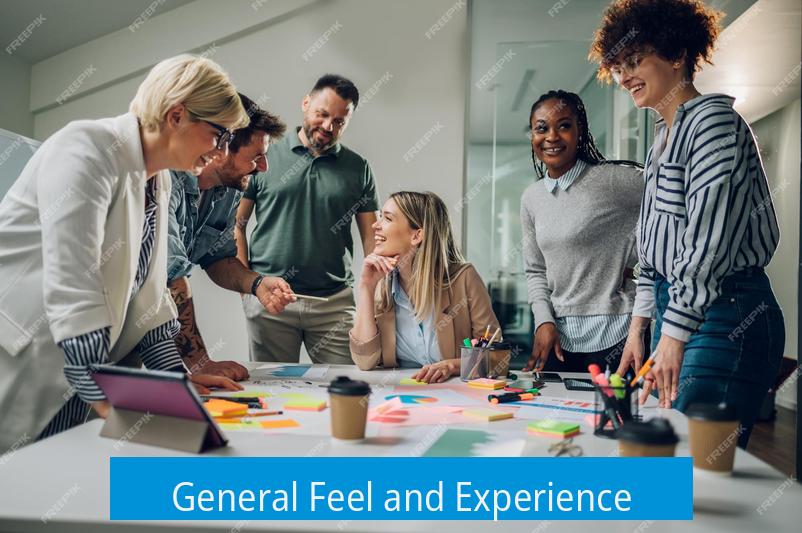 General Feel and Experience