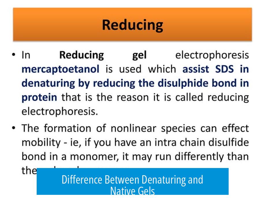 Difference Between Denaturing and Native Gels