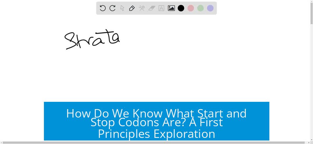 How Do We Know What Start and Stop Codons Are? A First Principles Exploration
