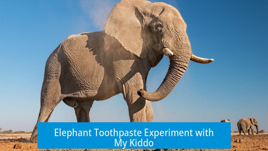 Elephant Toothpaste Experiment with My Kiddo