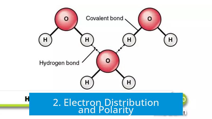 2. Electron Distribution and Polarity