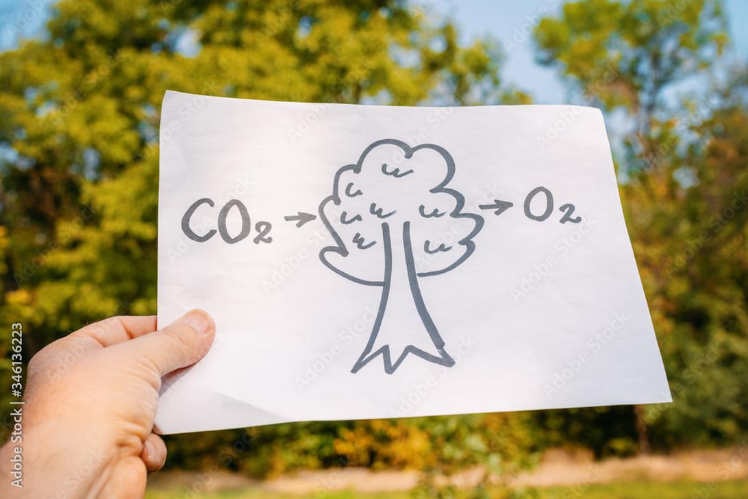 Rebreathers do not convert CO2 back to oxygen. They function by absorbing the carbon dioxide exhaled by the user. This absorption prevents CO2 buildup that causes acidosis or hypercapnia and allows the remaining oxygen in the breathing loop to be reused. However, rebreathers neither generate oxygen nor reduce CO2 concentration beyond absorption capability. This limits their duration and oxygen reclamation capability.