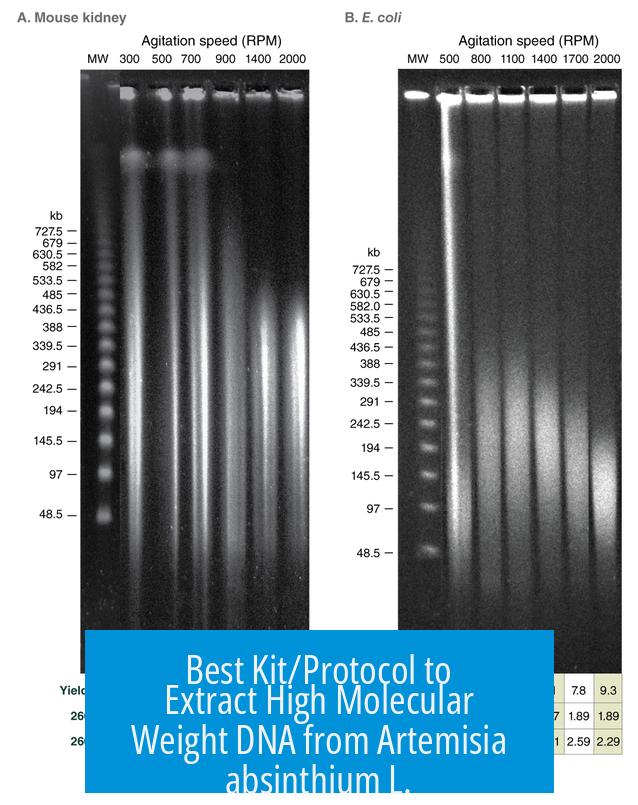 Best Kit/Protocol to Extract High Molecular Weight DNA from Artemisia absinthium L.