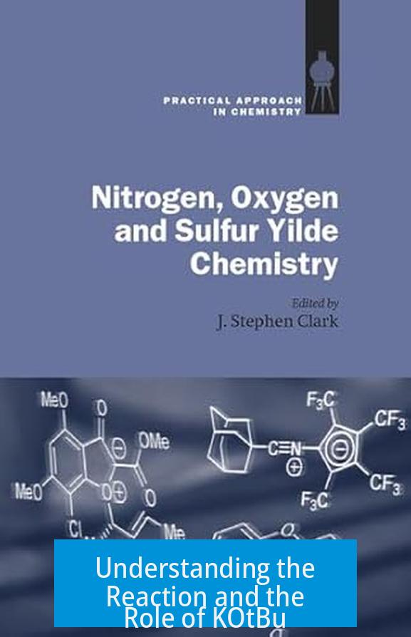 Understanding the Reaction and the Role of KOtBu