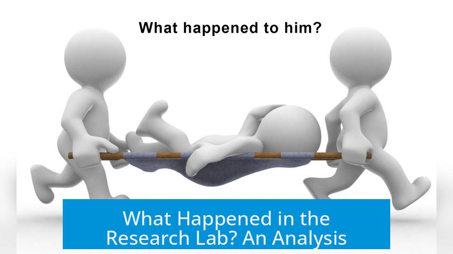 What Happened in the Research Lab? An Analysis