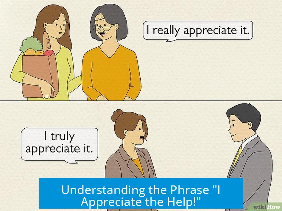 Understanding the Phrase "I Appreciate the Help!"