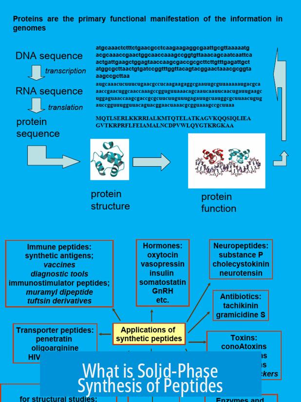 What is Solid-Phase Synthesis of Peptides?