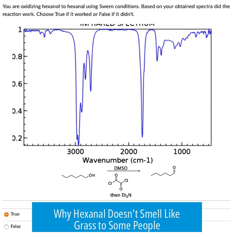 Why Hexanal Doesn't Smell Like Grass to Some People