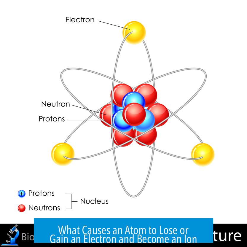 What Causes an Atom to Lose or Gain an Electron and Become an Ion?