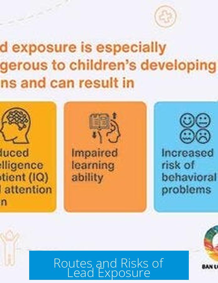 Routes and Risks of Lead Exposure