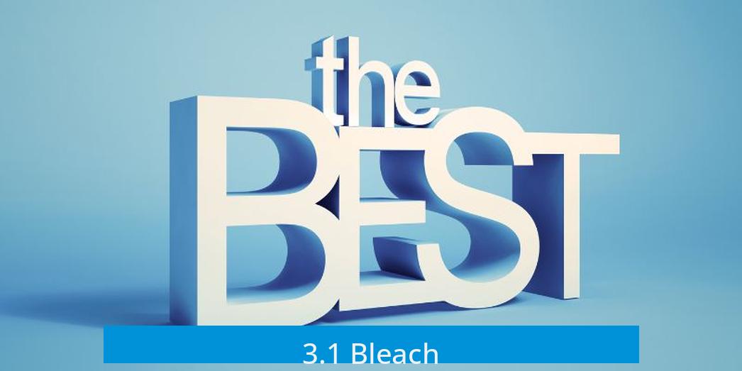 3.1 Bleach