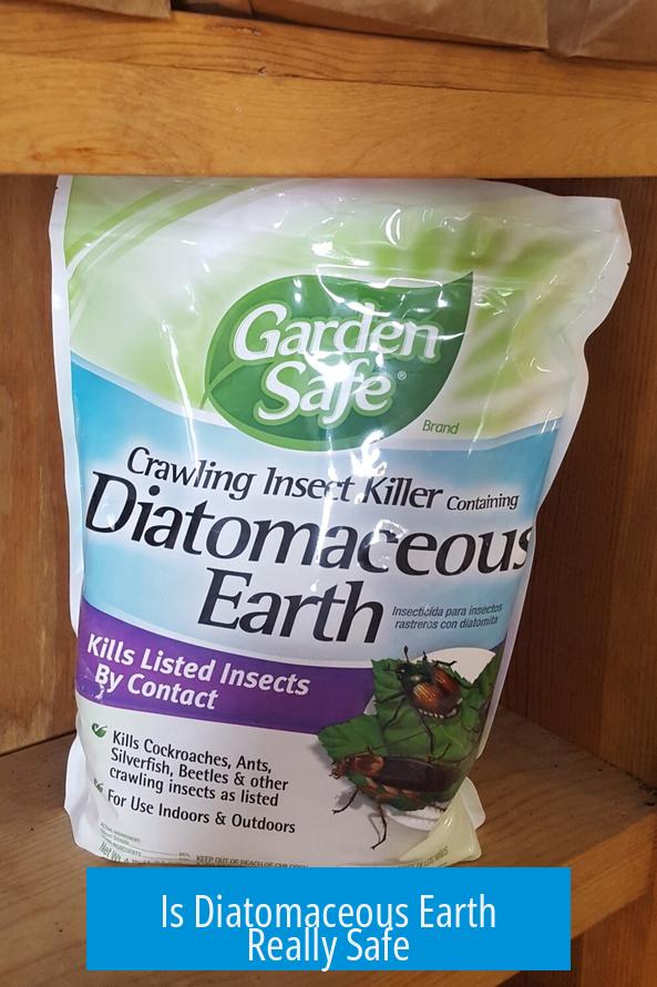Is Diatomaceous Earth Really Safe?