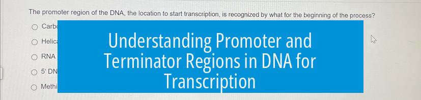 Understanding Promoter and Terminator Regions in DNA for Transcription