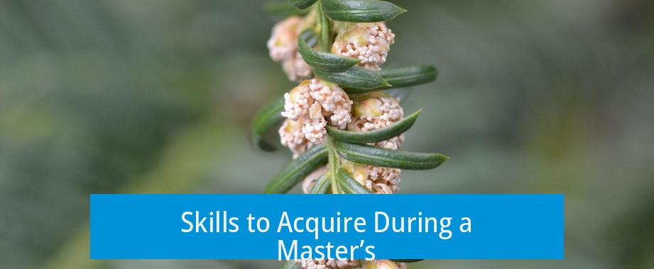 Skills to Acquire During a Master’s