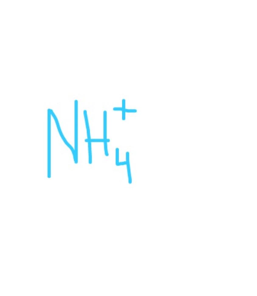 Important But Less Common Ions