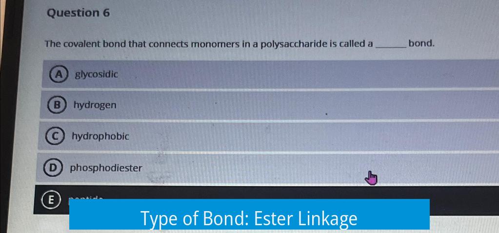 Type of Bond: Ester Linkage