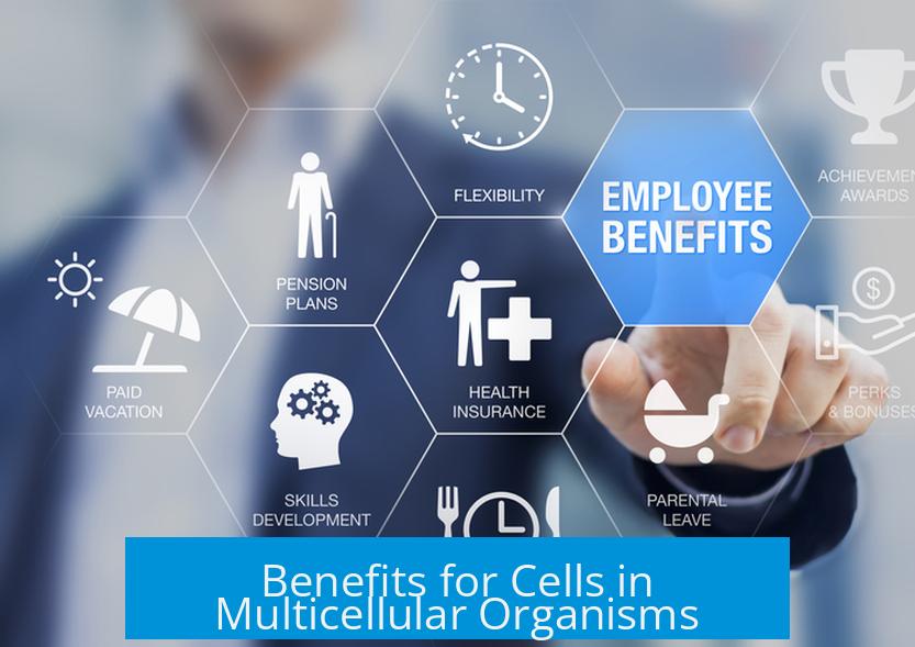 Benefits for Cells in Multicellular Organisms