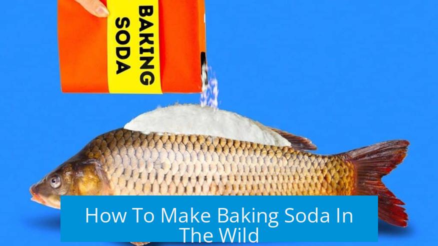 How To Make Baking Soda In The Wild