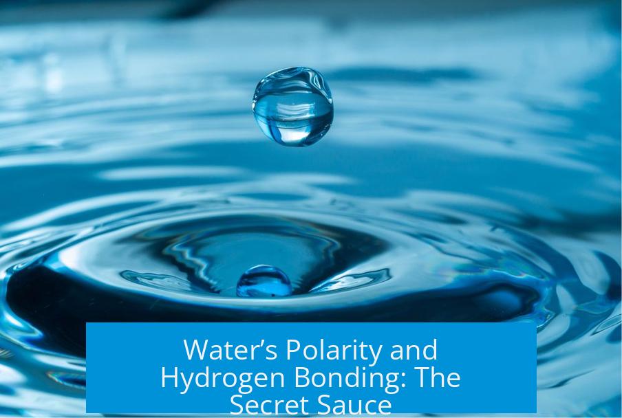 Water’s Polarity and Hydrogen Bonding: The Secret Sauce