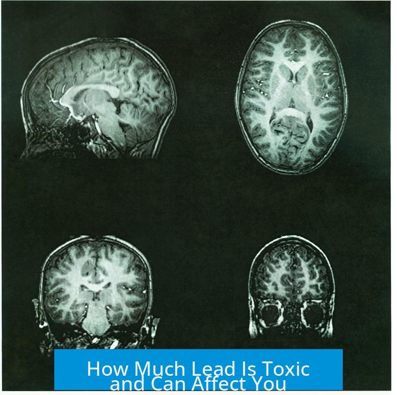 How Much Lead Is Toxic and Can Affect You?