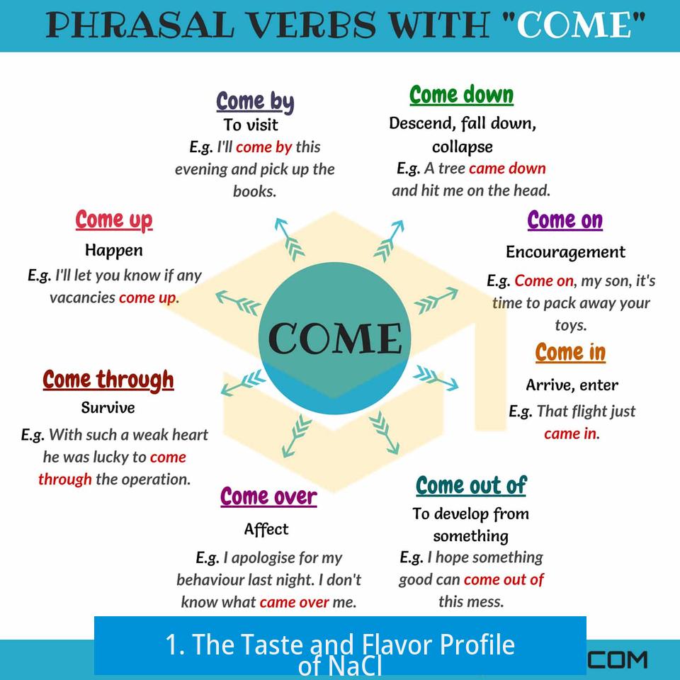 1. The Taste and Flavor Profile of NaCl
