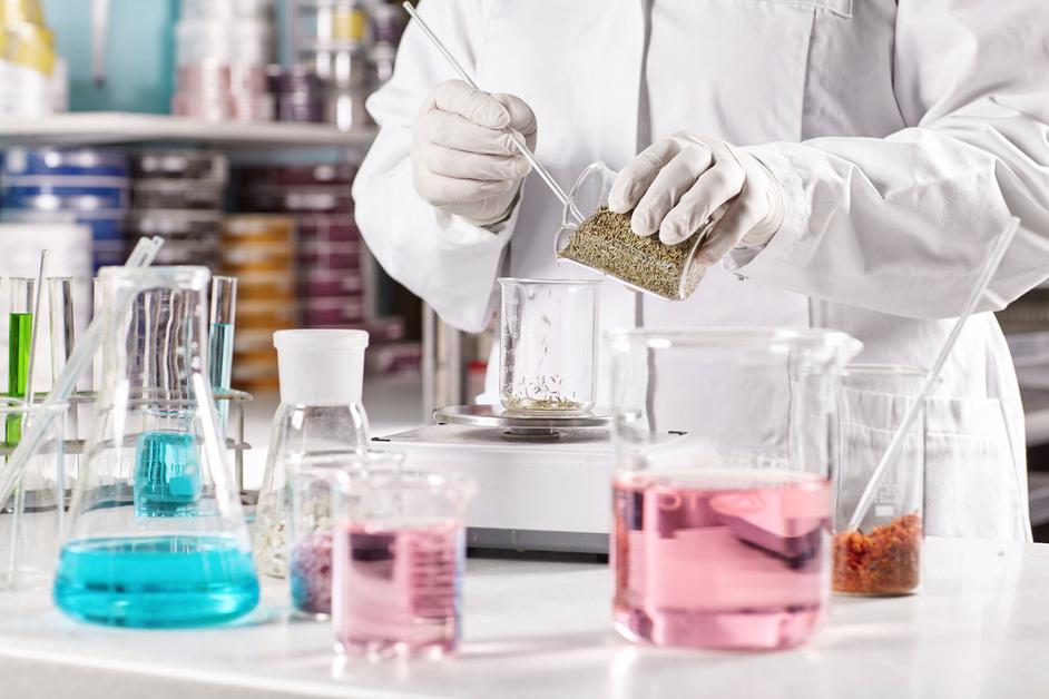 Structural Characteristics of Red Wine Compounds