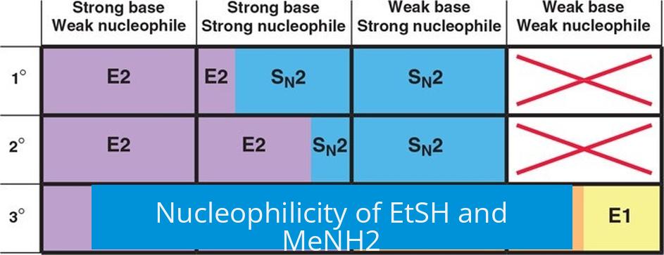 Nucleophilicity of EtSH and MeNH2