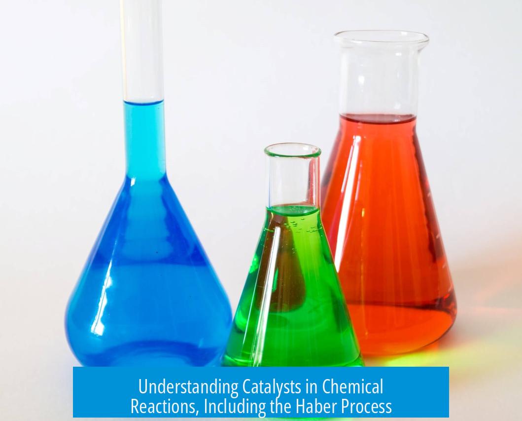 Understanding Catalysts in Chemical Reactions, Including the Haber Process