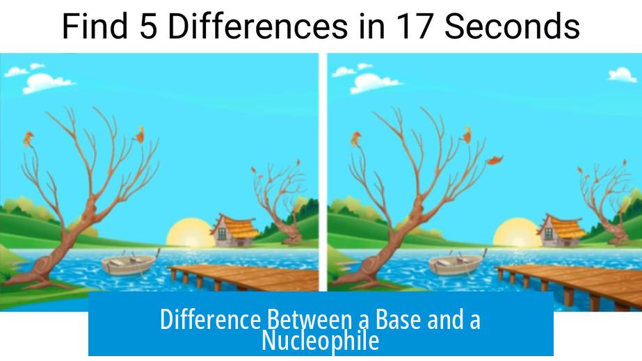 Difference Between a Base and a Nucleophile