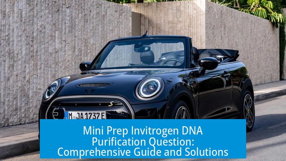Mini Prep Invitrogen DNA Purification Question: Comprehensive Guide and Solutions