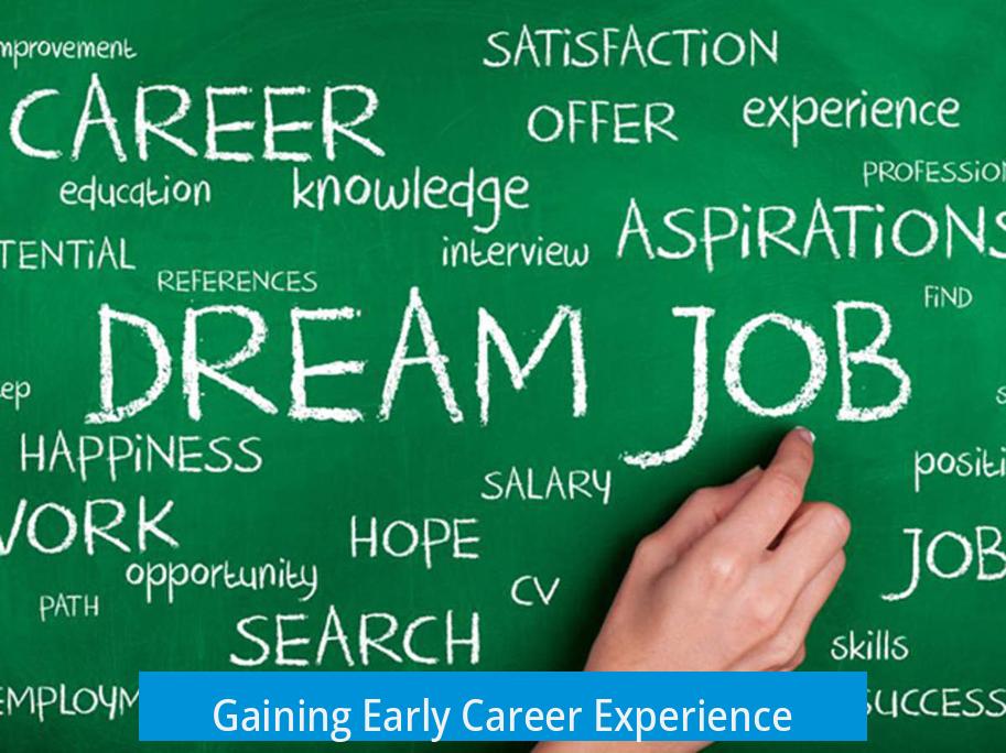 Gaining Early Career Experience