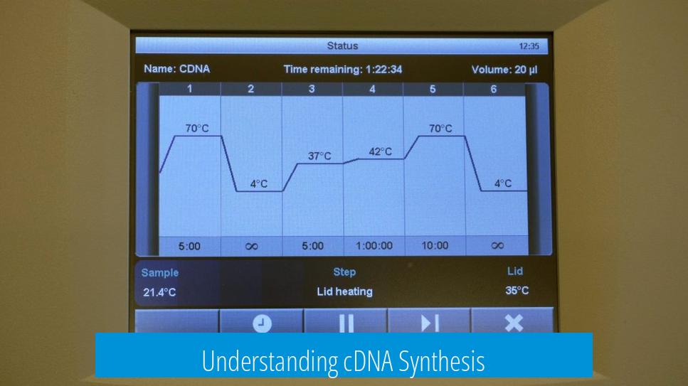 Understanding cDNA Synthesis