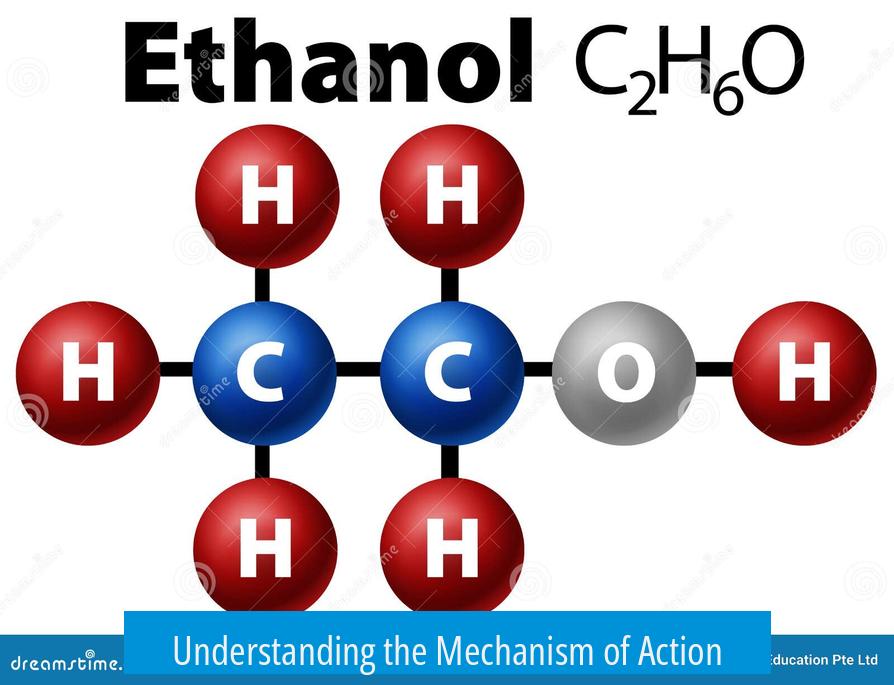 Understanding the Mechanism of Action