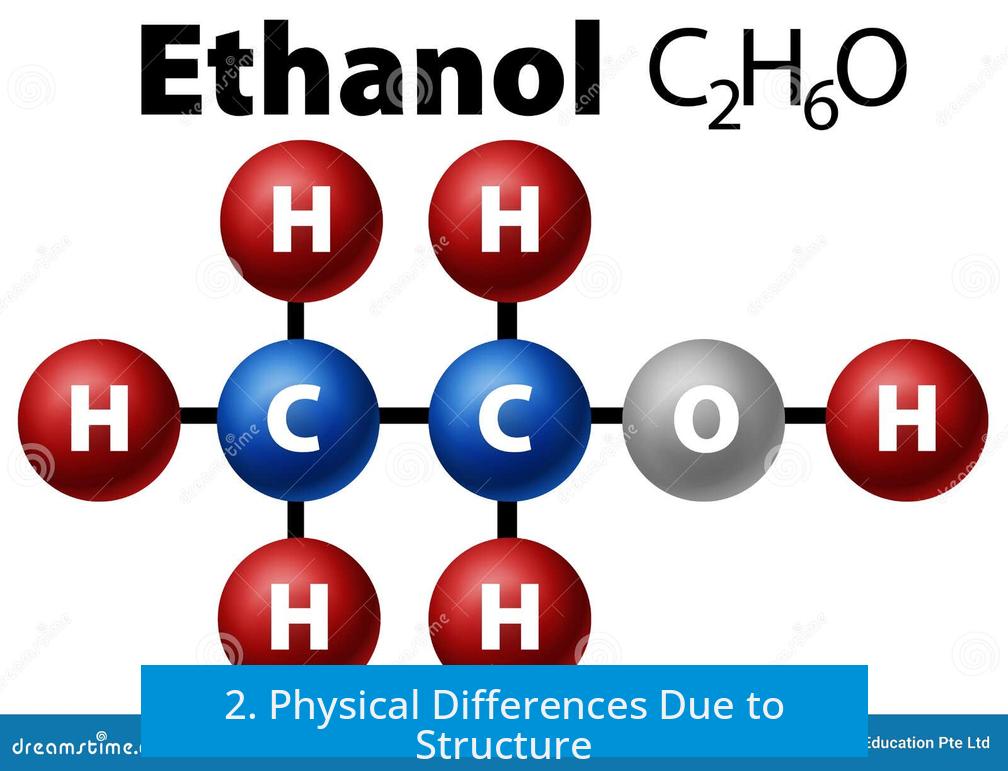 2. Physical Differences Due to Structure