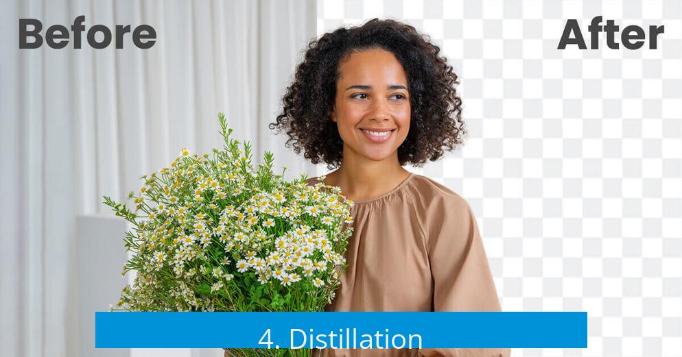 4. Distillation