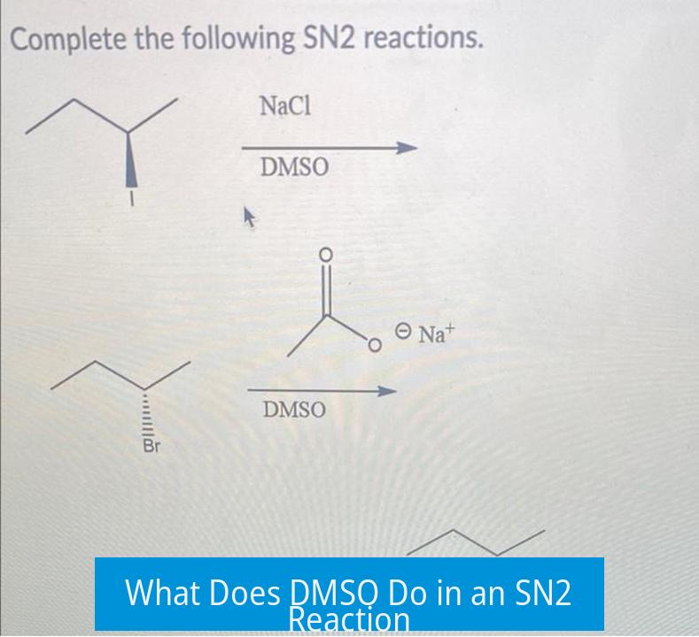What Does DMSO Do in an SN2 Reaction?