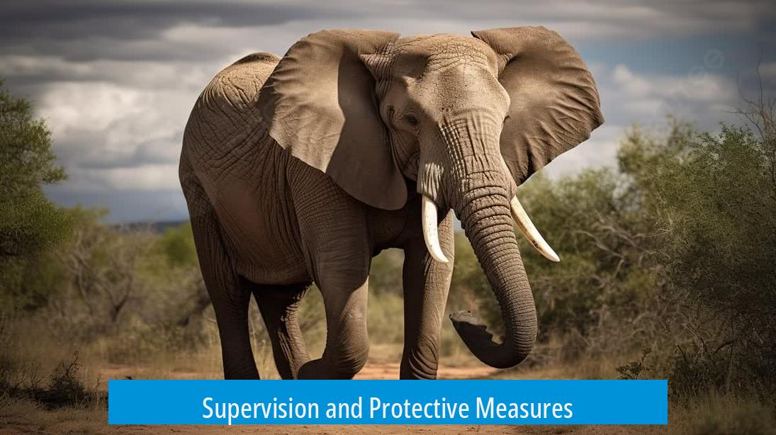 Supervision and Protective Measures
