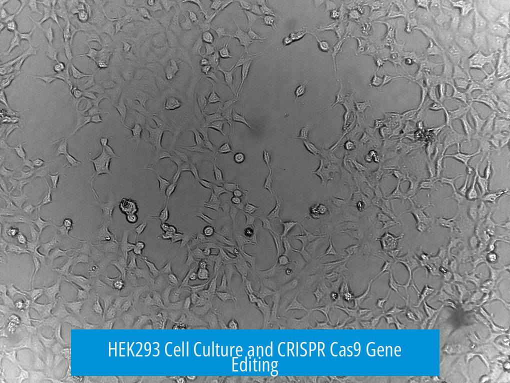 HEK293 Cell Culture and CRISPR Cas9 Gene Editing