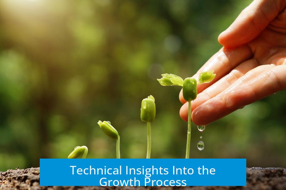 Technical Insights Into the Growth Process