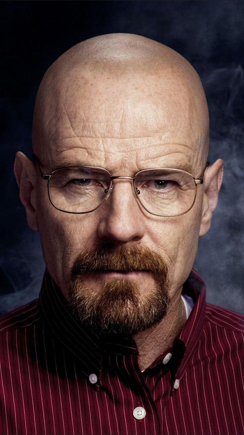 While Walt’s definition excludes detailed nuances, it effectively conveys chemistry’s essence in both scientific and narrative terms.